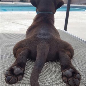 Meet your Posher, Michael